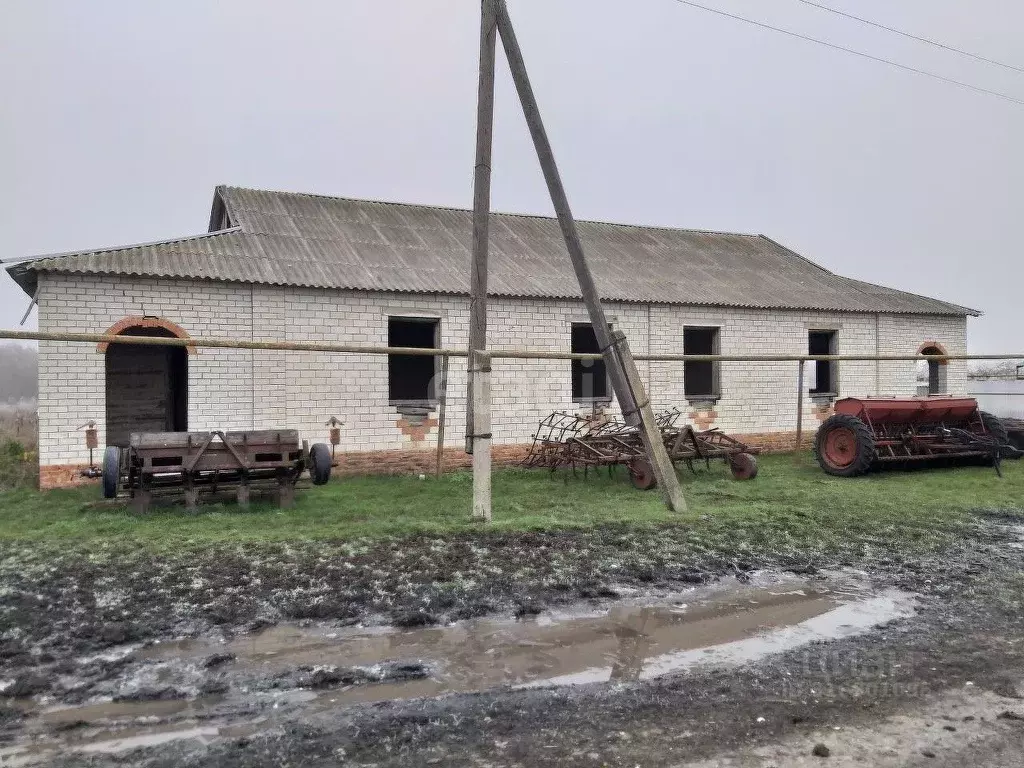 Дом в Белгородская область, Красногвардейский район, Утянское с/пос, ... - Фото 0