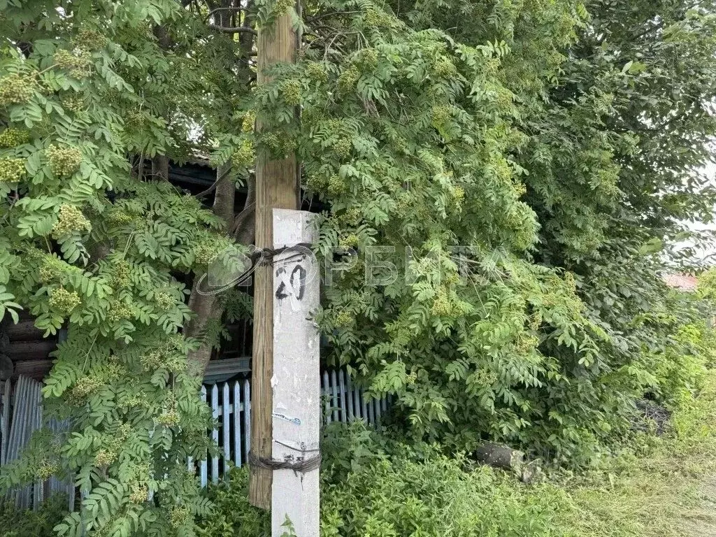 Дом в Тюменская область, Тюмень ул. Агеева, 176 (43 м) - Фото 1