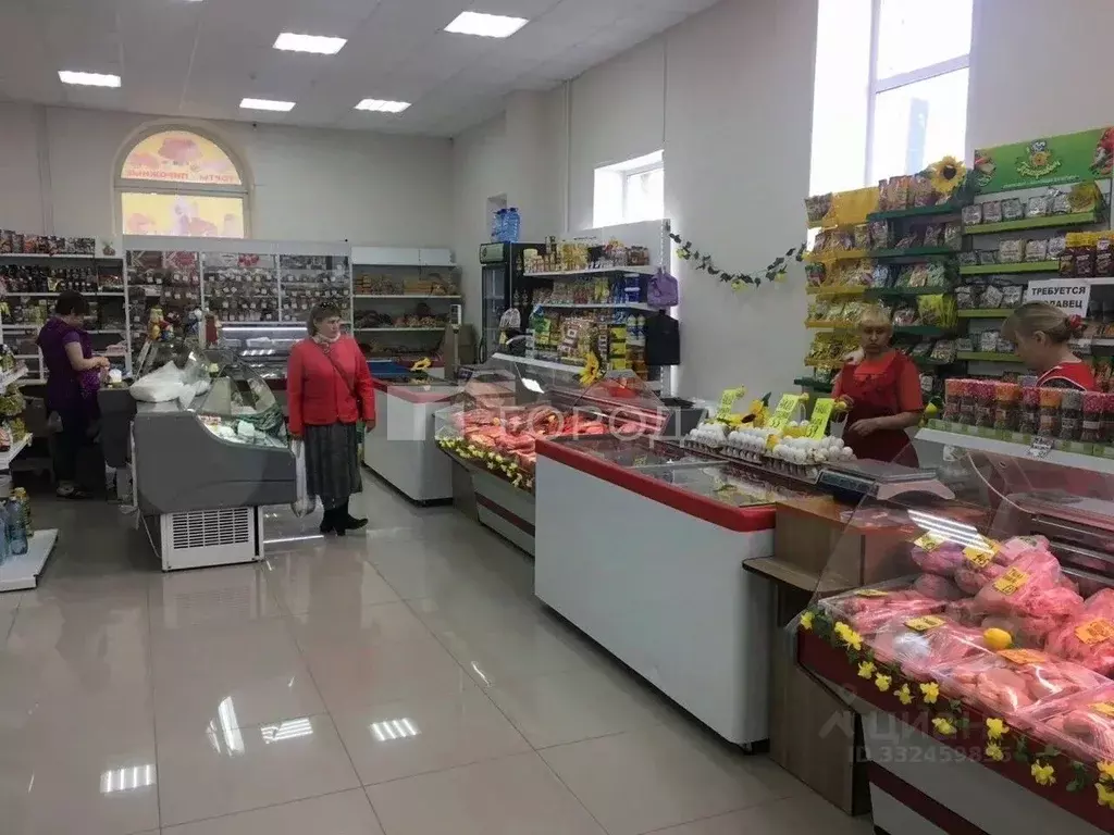 Помещение свободного назначения в Новосибирская область, Новосибирск ... - Фото 1