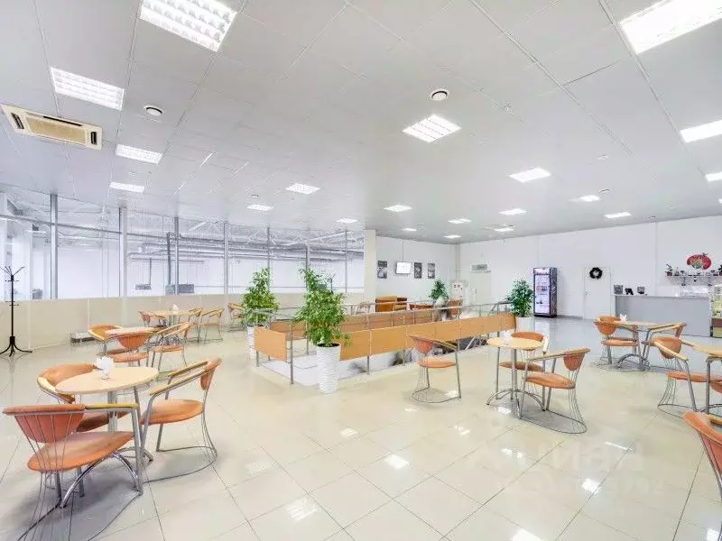 Торговая площадь в Санкт-Петербург Софийская ул., 2 (2050 м) - Фото 0
