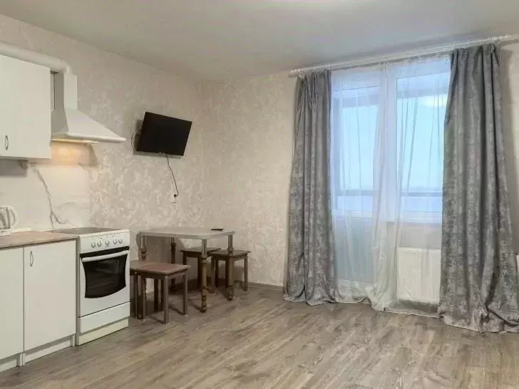 Студия Ленинградская область, Всеволожский район, Заневское городское ... - Фото 1