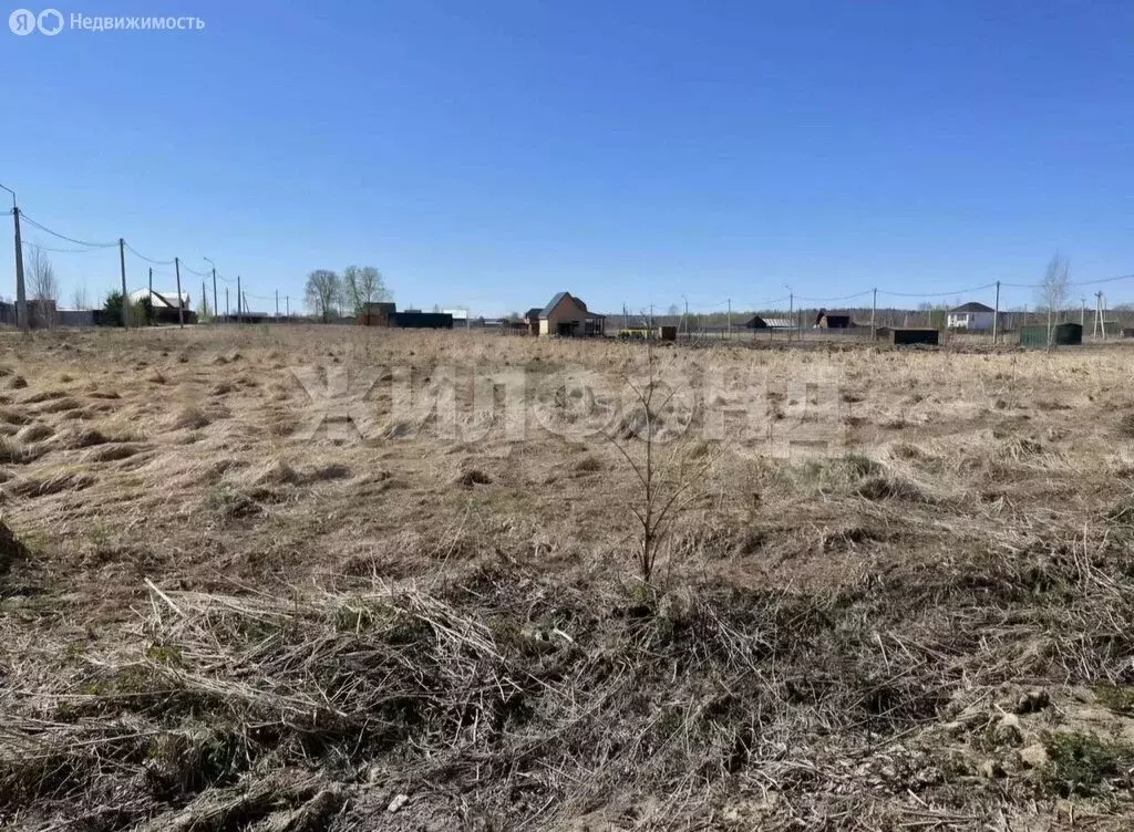 Участок в Новосибирский район, Кудряшовский сельсовет, посёлок ... - Фото 2