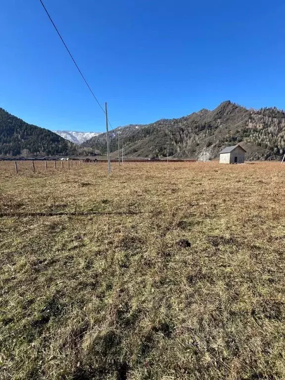 Участок в Алтай, Чемальский район, с. Анос Центральная ул., 41 (12.6 ... - Фото 1