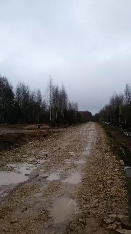 Участок в Новгородская область, Новгородский район, Савинское с/пос, ... - Фото 1
