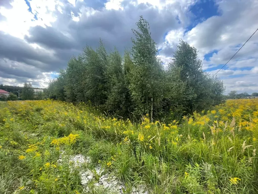 Участок в Московская область, Ступино городской округ, с. Ивановское  ... - Фото 1