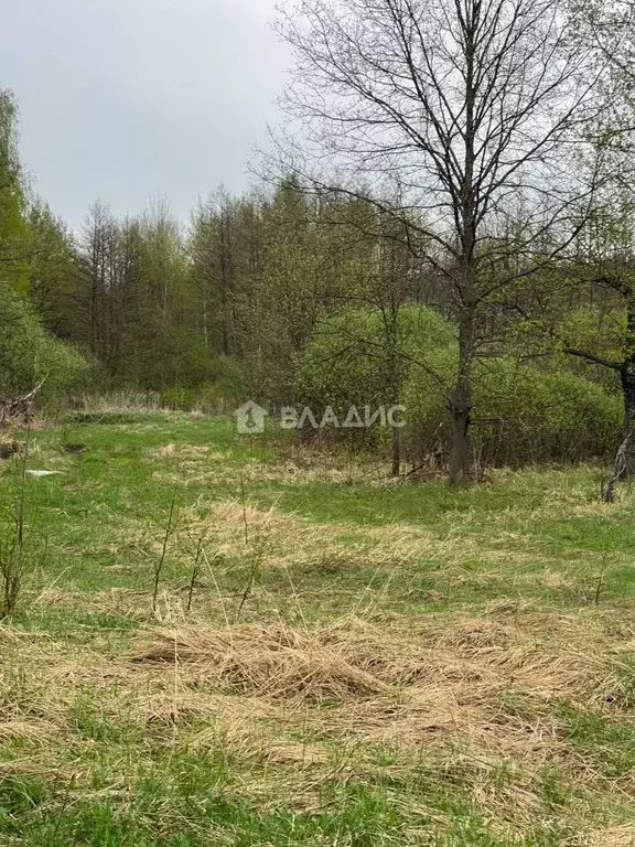 Участок в Пензенская область, Бессоновский район, пос. Новая Жизнь ... - Фото 0