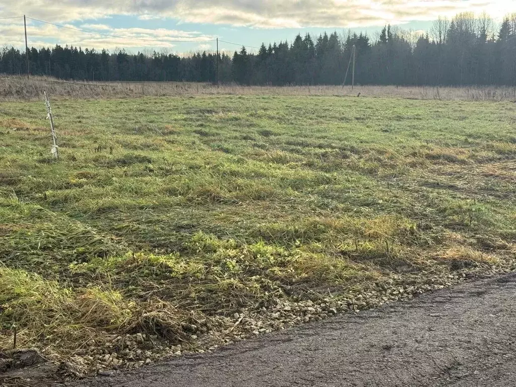 Участок в Ленинградская область, Гатчинский муниципальный округ, д. ... - Фото 1