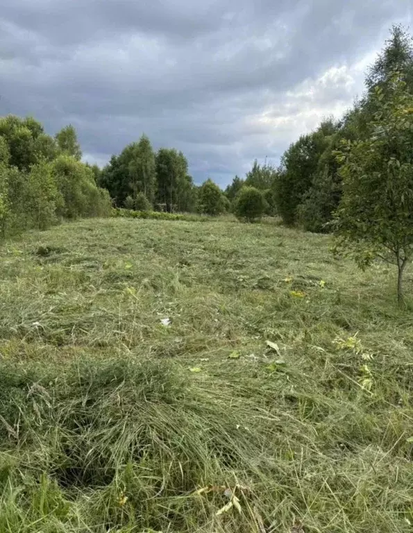 Участок в Московская область, Рузский муниципальный округ, пос. ... - Фото 2