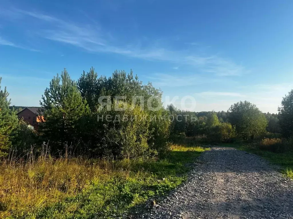 Участок в Пермский край, Березники муниципальный округ, с. Романово  ... - Фото 2
