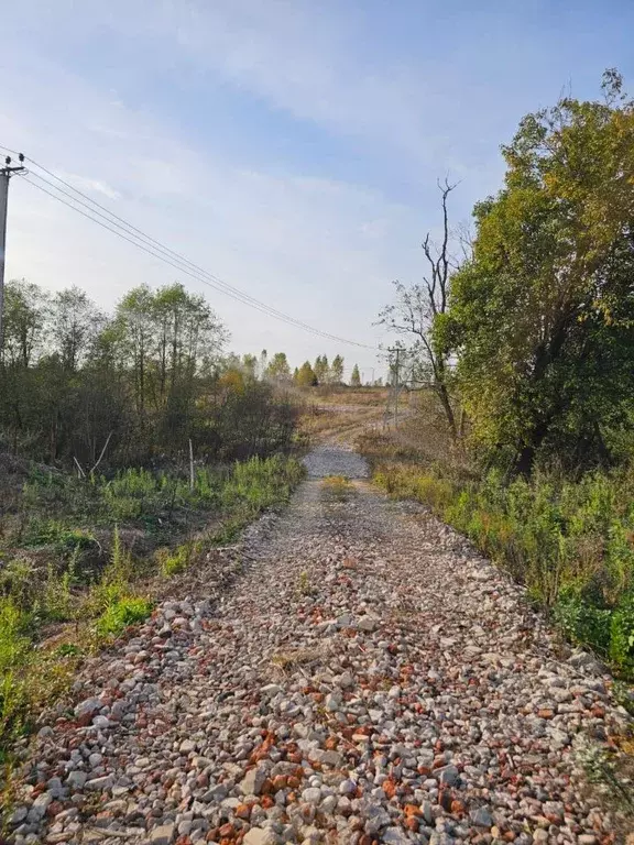 Участок в Московская область, Клин городской округ, д. Иевлево  (9.0 ... - Фото 2