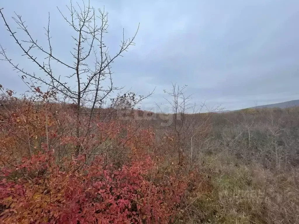 Участок в Крым, Кировский район, Первомайское с/пос, Заря СНТ пер. ... - Фото 1