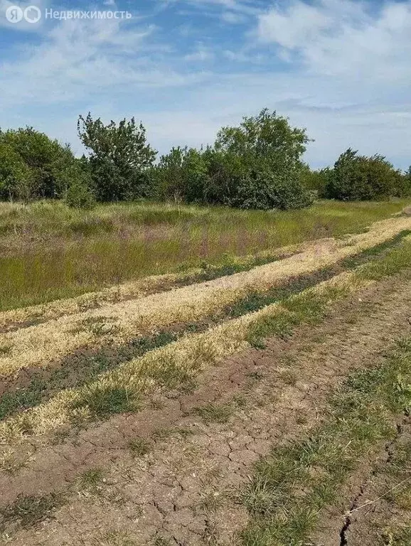 Участок в Синицынское сельское поселение, село Васильковое (6 м) - Фото 0