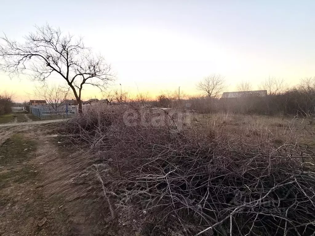 Участок в Ростовская область, Новочеркасск № 16 садовое товарищество, ... - Фото 1