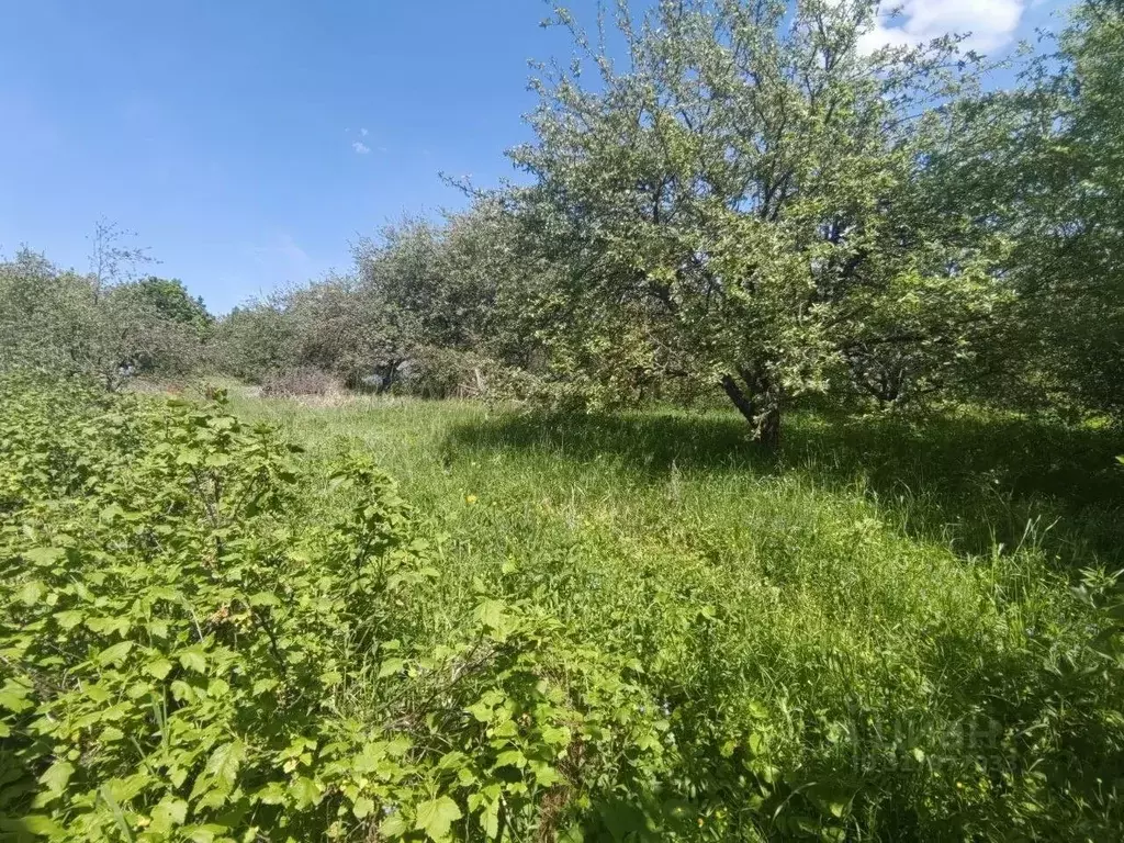 Дом в Тульская область, Тула пос. Хомяково, Новая ул., 32 (28 м) - Фото 0