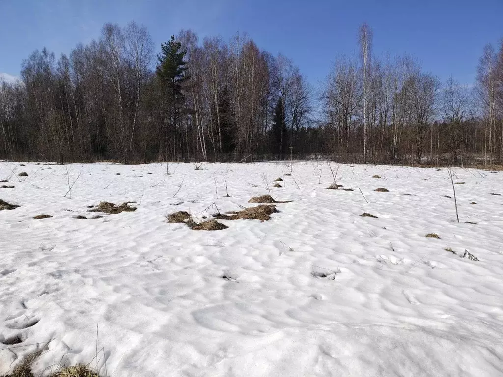 Участок в Московская область, Талдомский городской округ, д. Растовцы  ... - Фото 2