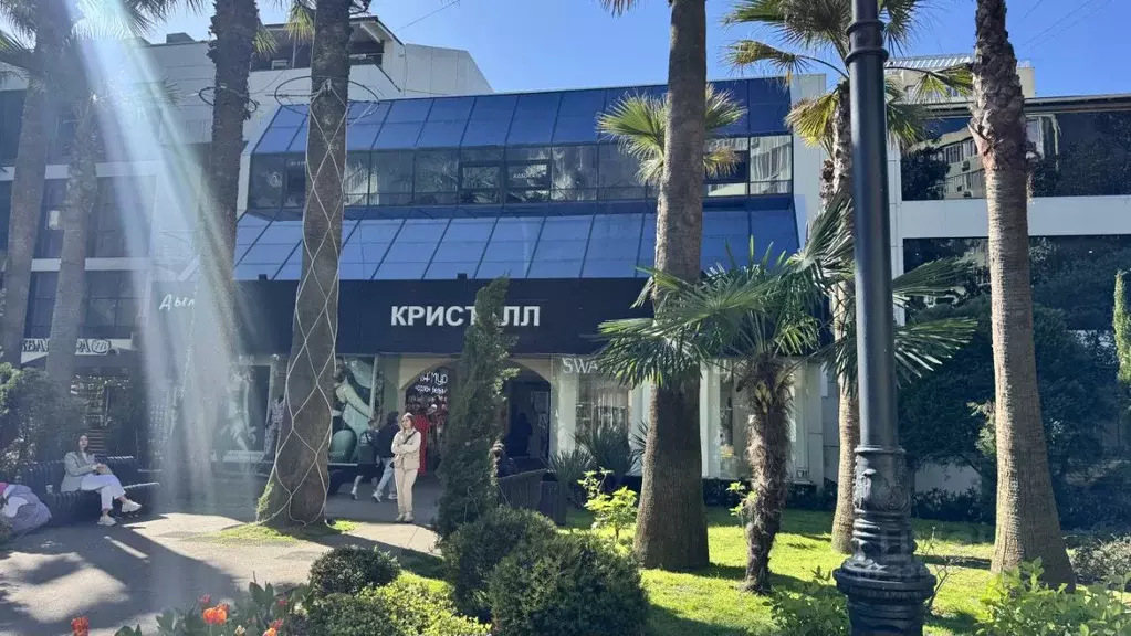 Офис в Краснодарский край, Сочи Центральный мкр, ул. Навагинская, 7/1 ... - Фото 1