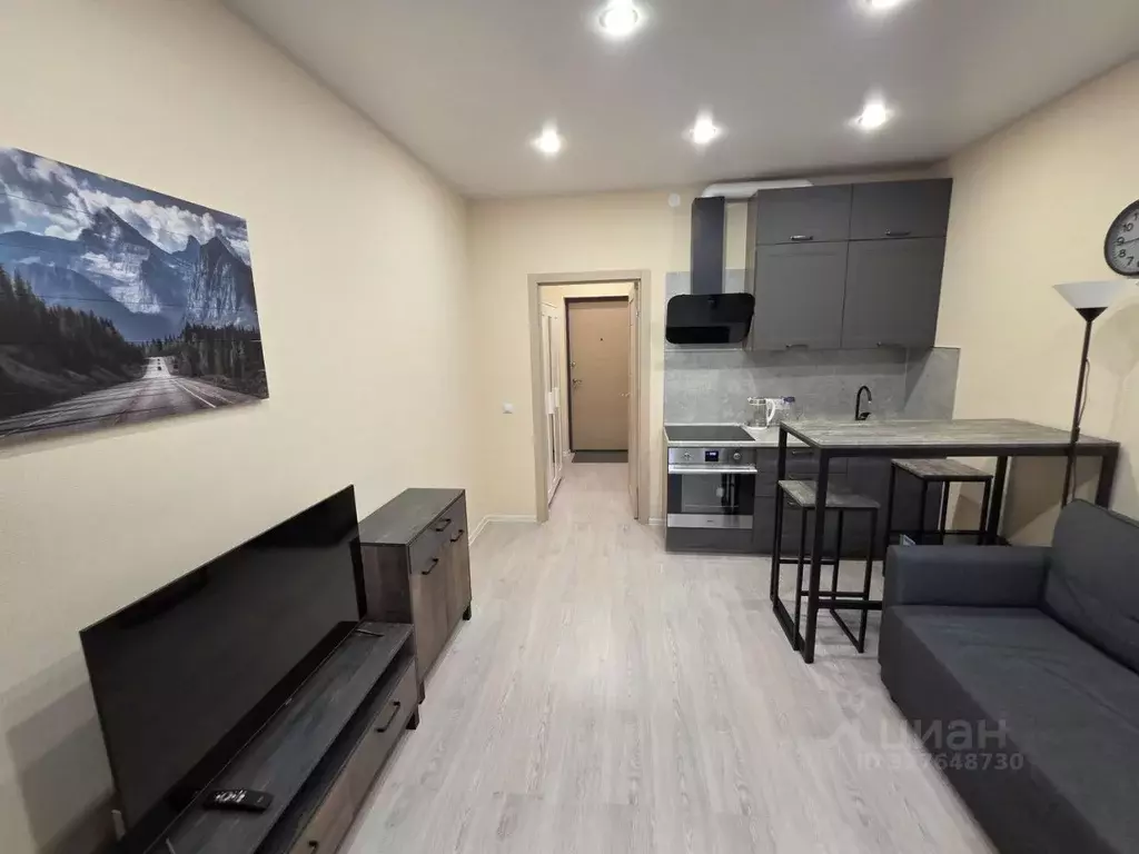 Студия Санкт-Петербург 2-й Предпортовый проезд, 6 (24.0 м) - Фото 2