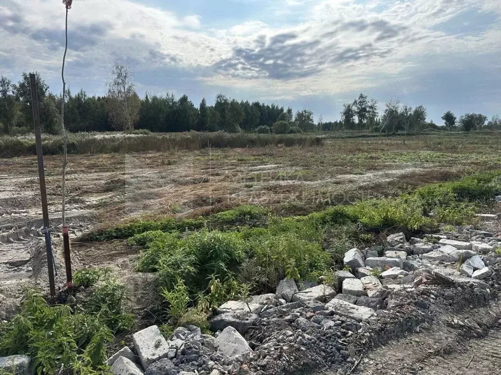 Участок в Тюменская область, Нижнетавдинский район, с. Средние Тарманы ... - Фото 2