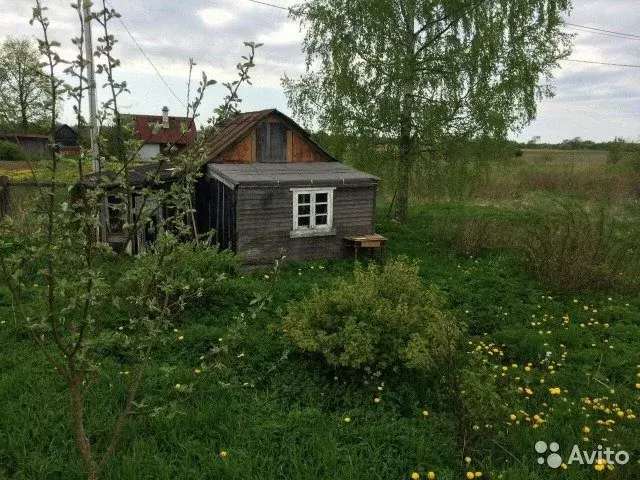 Участок кингисеппском районе. Деревня Югантово Кингисеппский район. Д Падога Кингисеппский район. Деревня Падога. Малое Куземкино.