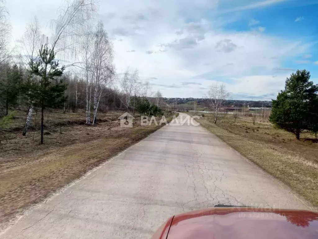 Участок в Нижегородская область, Богородский муниципальный округ, д. ... - Фото 1