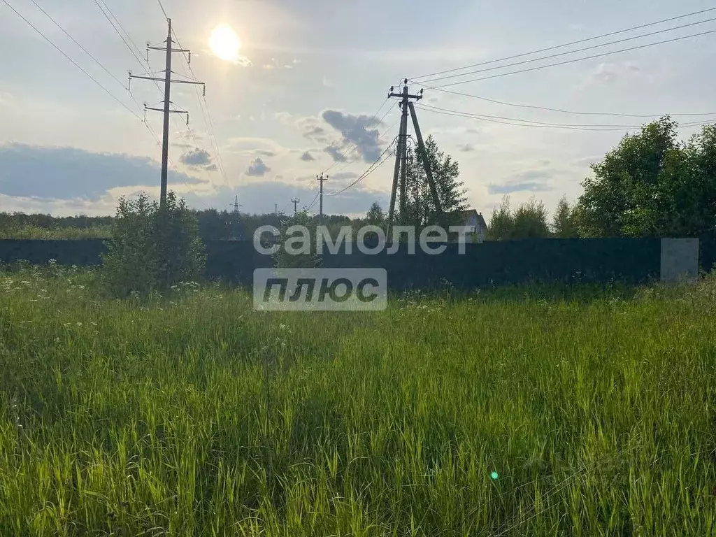 Участок в Московская область, Раменский муниципальный округ, Сеченка ... - Фото 1