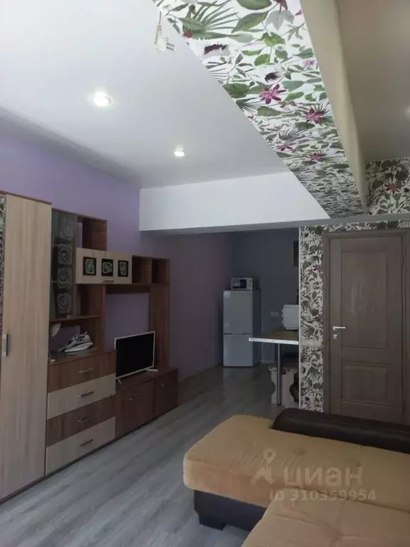 Студия Краснодарский край, Сочи Адлер жилрайон, ул. Орбитовская, 20/7 ... - Фото 2