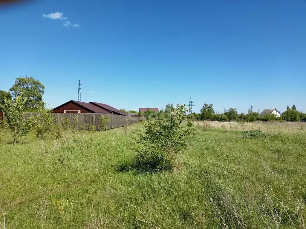 Участок в Воронежская область, Борисоглебский городской округ, с. ... - Фото 0