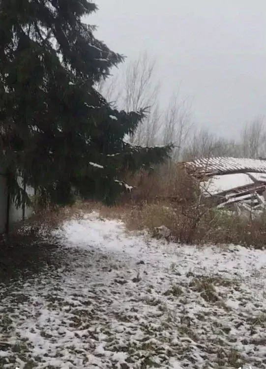 Участок в Калининградская область, Зеленоградский муниципальный округ, ... - Фото 1