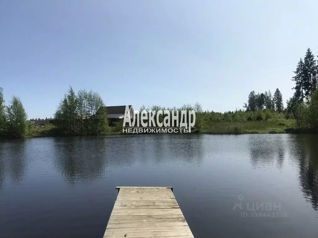 Участок в Ленинградская область, Сертолово Всеволожский район, Медное ... - Фото 0