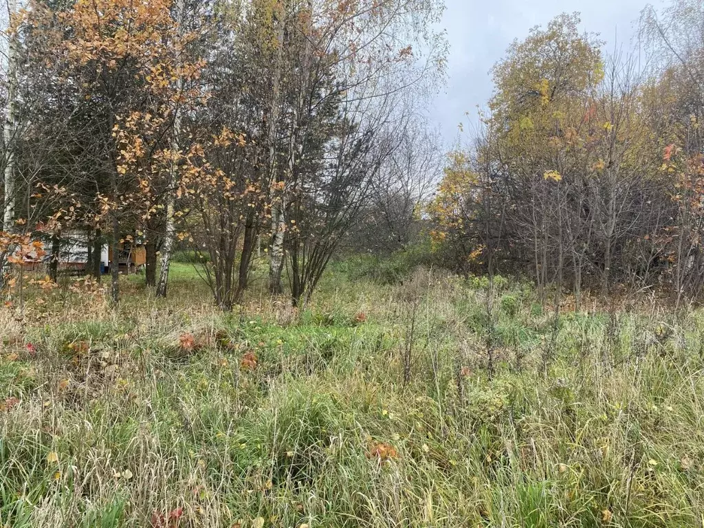 Участок в Московская область, Луховицы муниципальный округ, д. ... - Фото 1