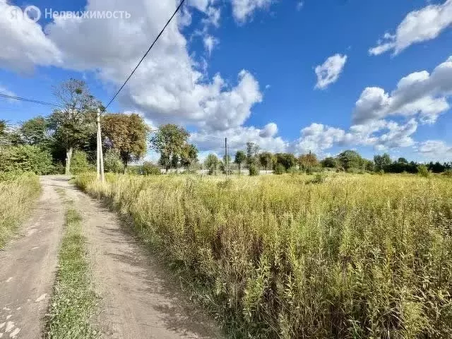 Участок в Калининградская область, Гурьевский муниципальный округ, ... - Фото 1