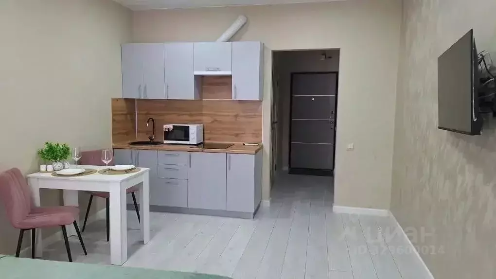 Студия Краснодарский край, Сочи ул. Искры, 88к8 (26.0 м) - Фото 1