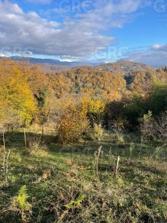 Участок в Краснодарский край, Сочи городской округ, с. Богушевка ул. ... - Фото 0