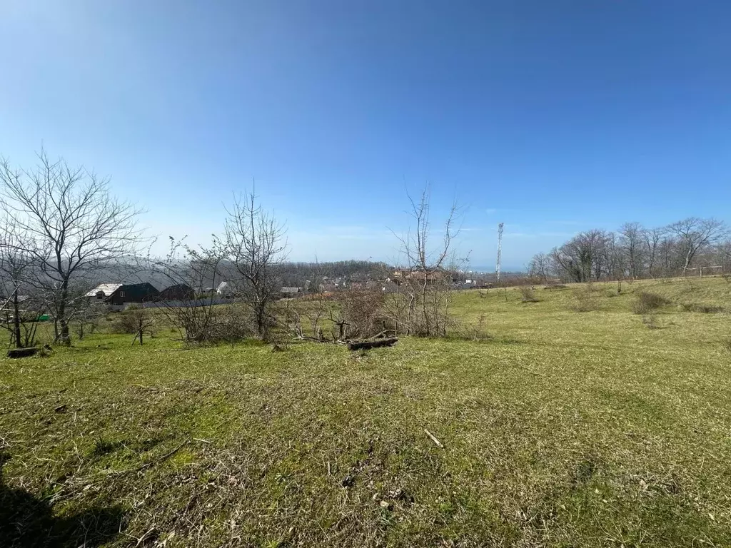 Участок в Краснодарский край, Сочи городской округ, с. Бестужевское ... - Фото 0