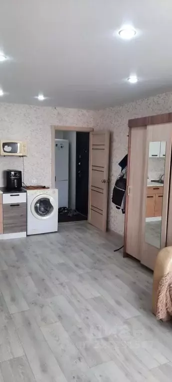Студия Курганская область, Курган Солнечный бул., 5 (24.7 м) - Фото 2