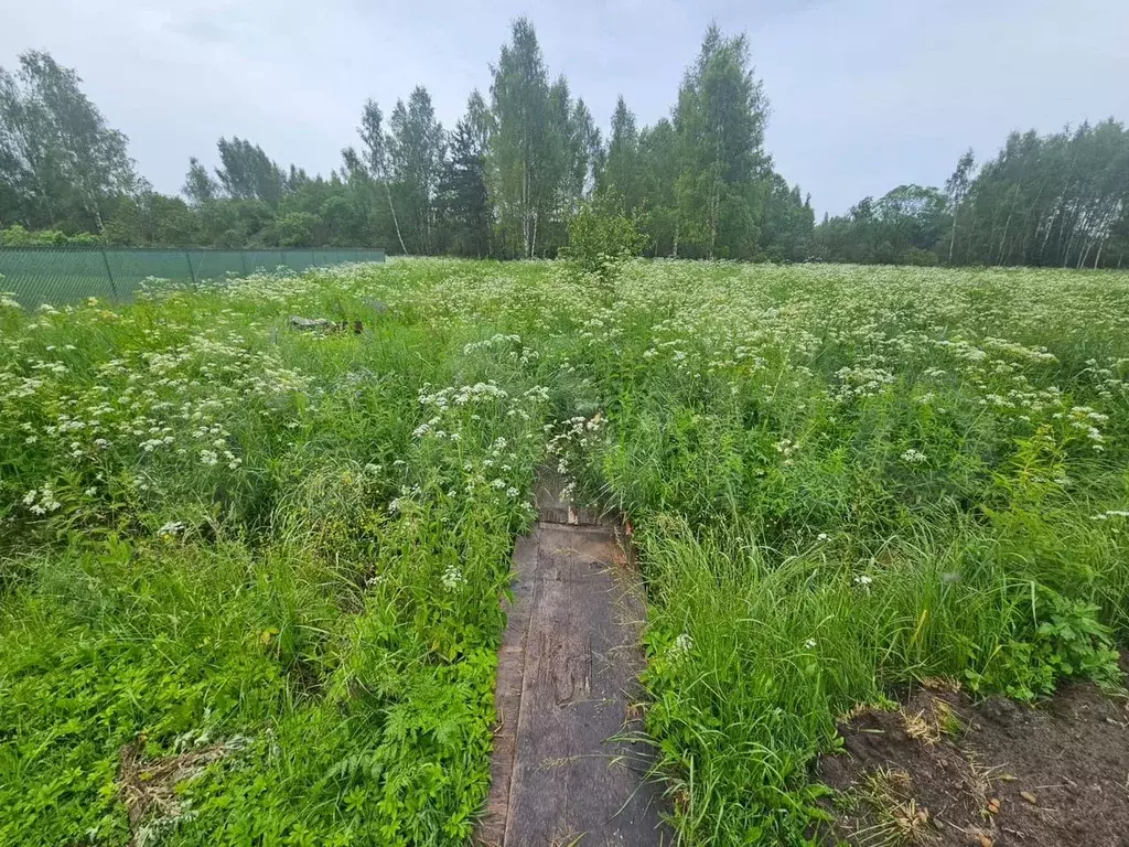 Участок 8 сот. (СНТ, ДНП) - Фото 0