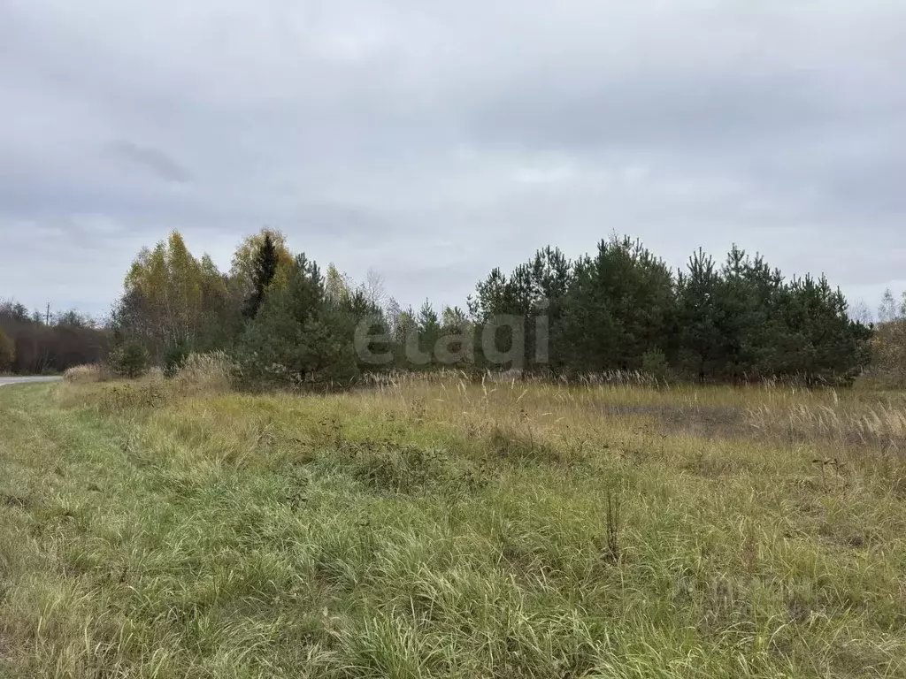 Участок в Псковская область, Себежский муниципальный округ, д. Затурье ... - Фото 2
