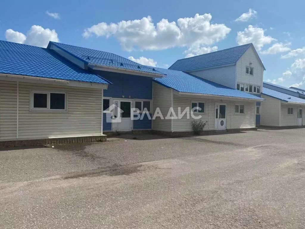 Помещение свободного назначения в Рязанская область, Рыбновский район, ... - Фото 0