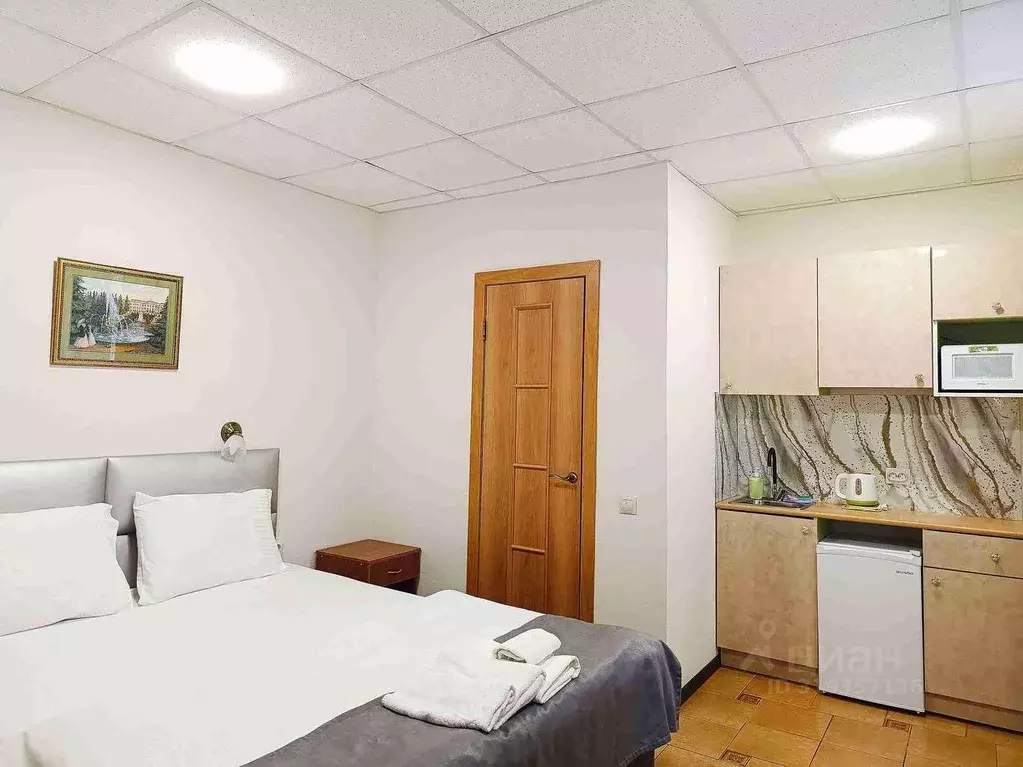 1-к кв. Санкт-Петербург Киевская ул., 24/22Б (16.0 м) - Фото 0