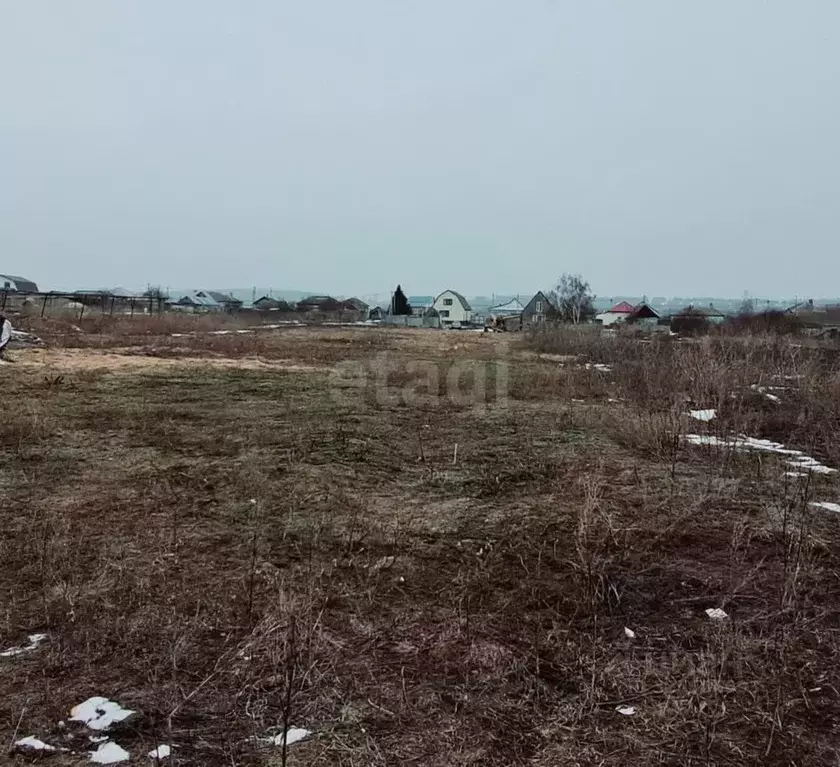 Участок в Саратовская область, Балашовский район, с. Репное ... - Фото 1