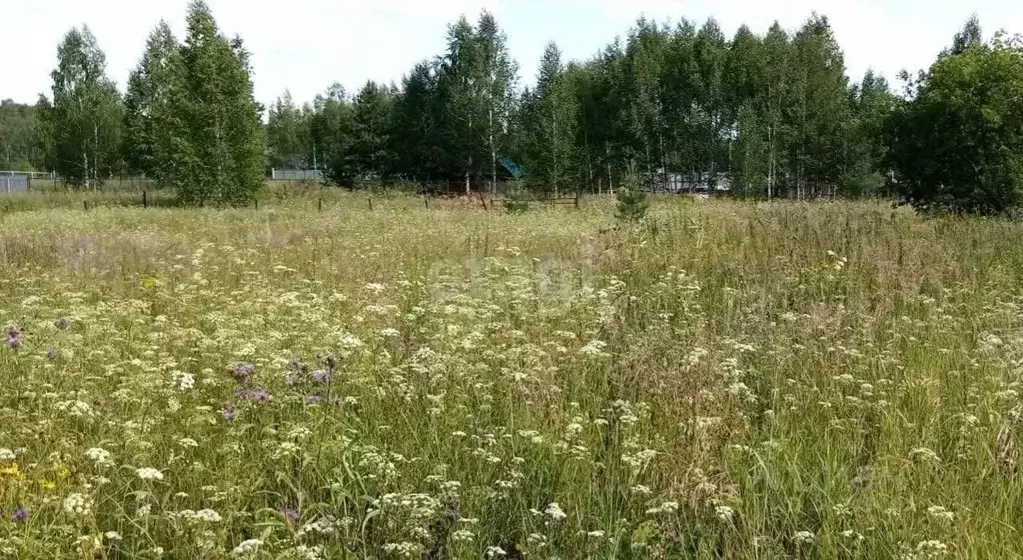 Участок в Башкортостан, Иглинский район, с. Охлебинино  (14.0 сот.) - Фото 0