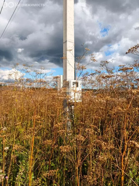Участок в Лаишевский район, Песчано-Ковалинское сельское поселение, ... - Фото 2
