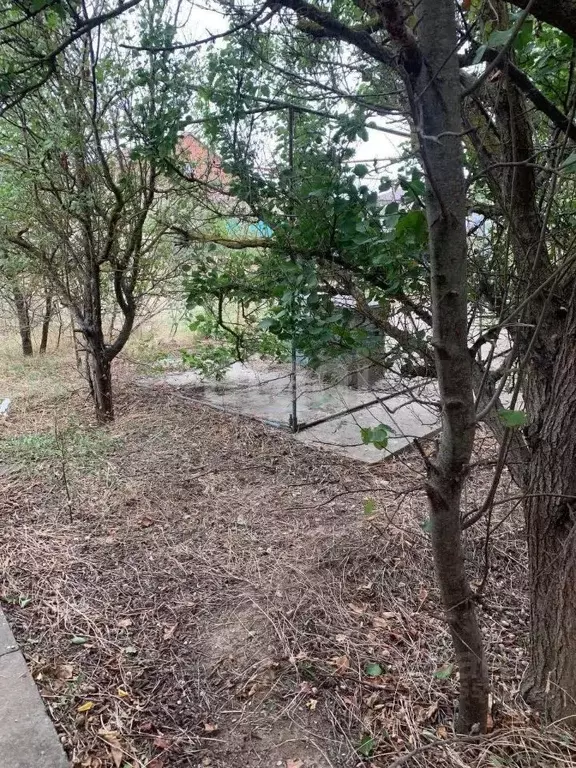 Участок в Крым, Черноморский район, с. Новосельское, Мечта-1 СНТ 69 ... - Фото 1