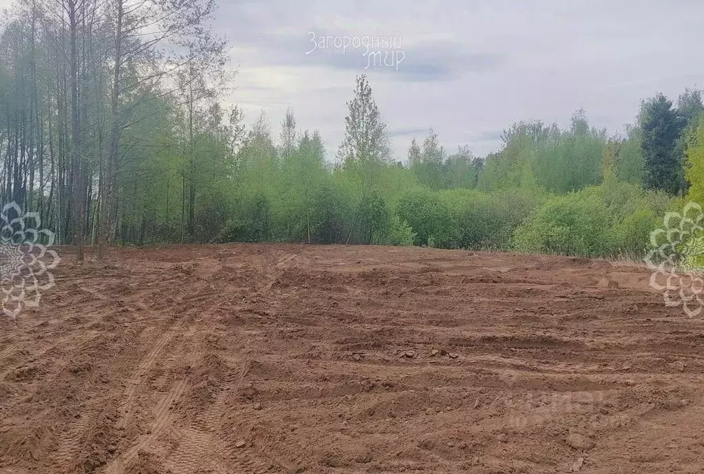 Участок в Московская область, Балашиха СНТ Заря тер.,  (10.0 сот.) - Фото 0
