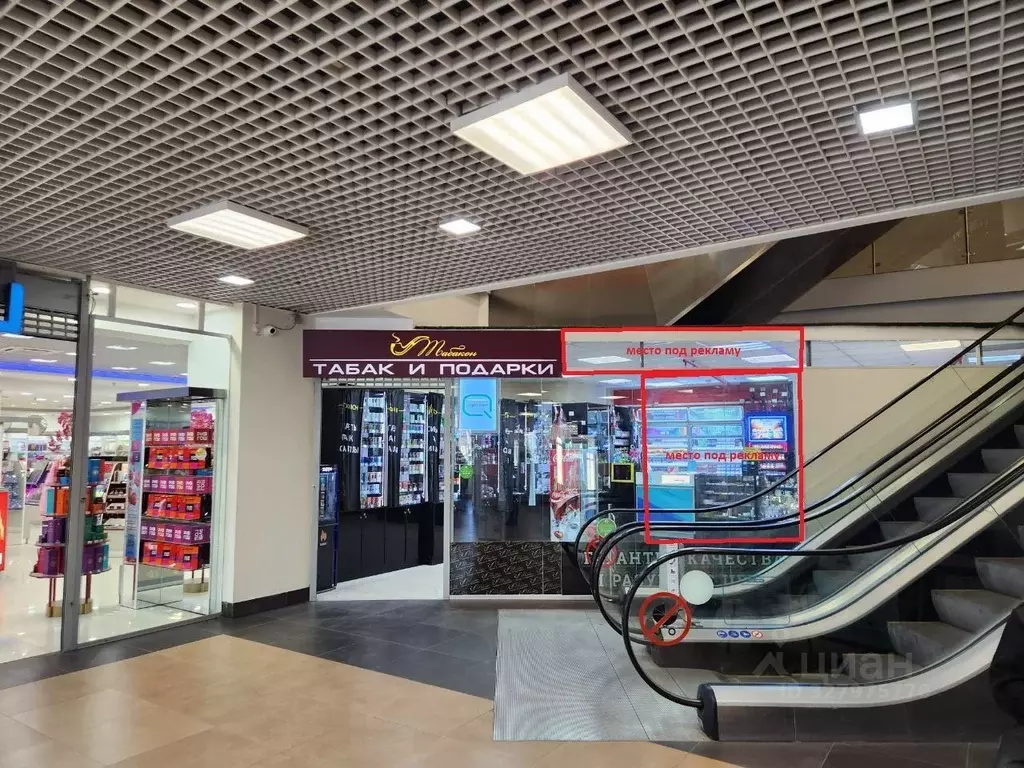 Торговая площадь в Санкт-Петербург ул. Белы Куна, 3 (12 м) - Фото 2