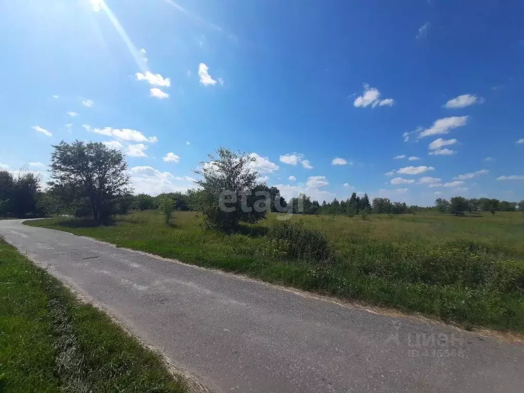 Участок в Белгородская область, Валуйский городской округ, с. Новая ... - Фото 0