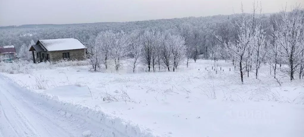 Участок в Кемеровская область, Новокузнецкий муниципальный округ, пос. ... - Фото 1