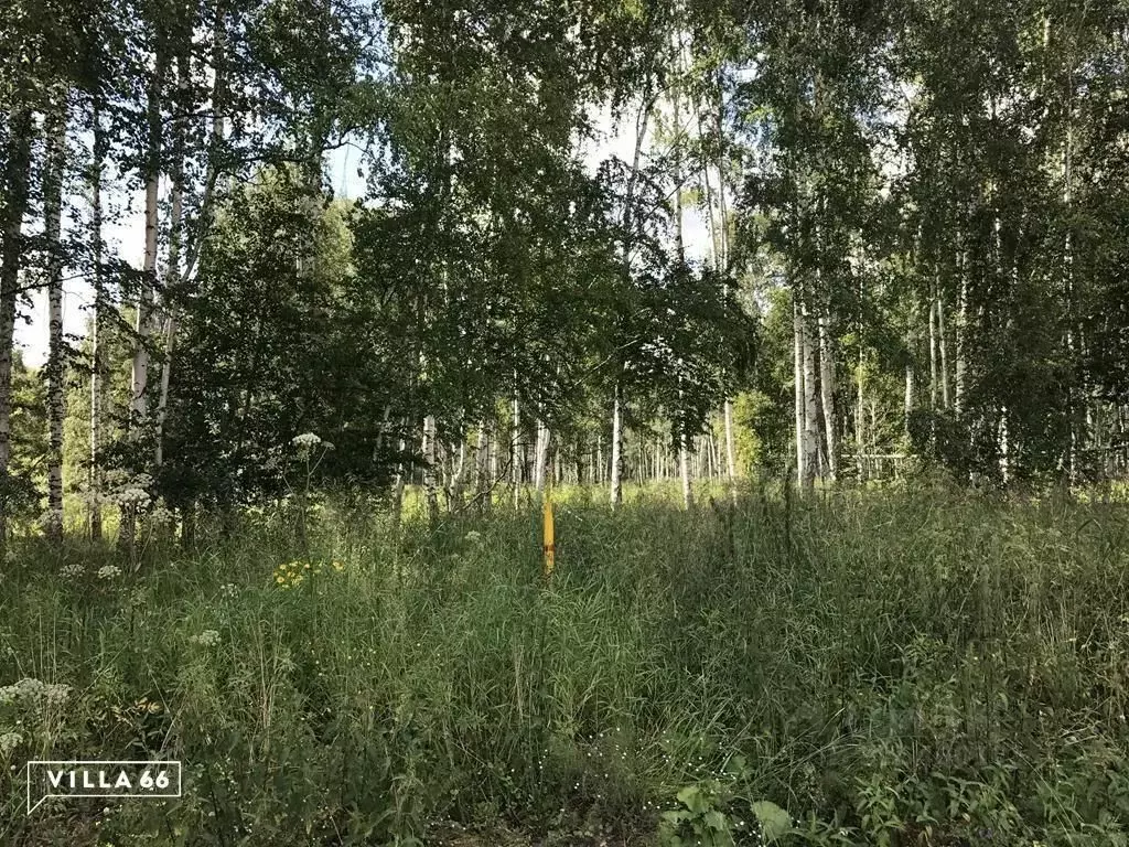 Участок в Свердловская область, Сысертский муниципальный округ, ... - Фото 0