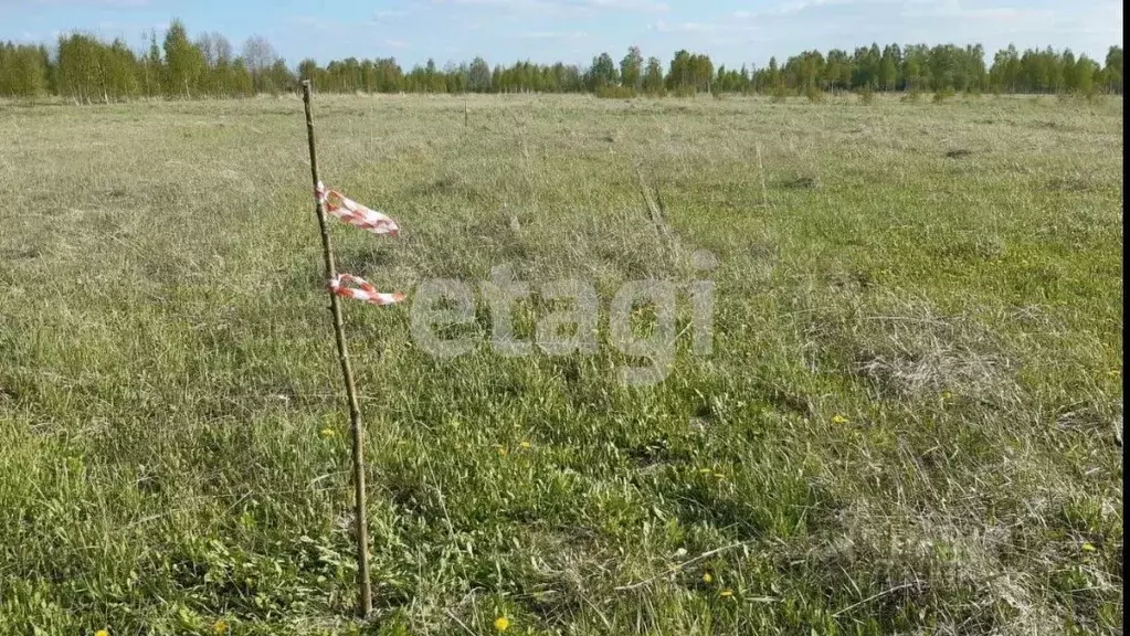 Участок в Костромская область, Нерехта Осенняя ул. (9.0 сот.) - Фото 0