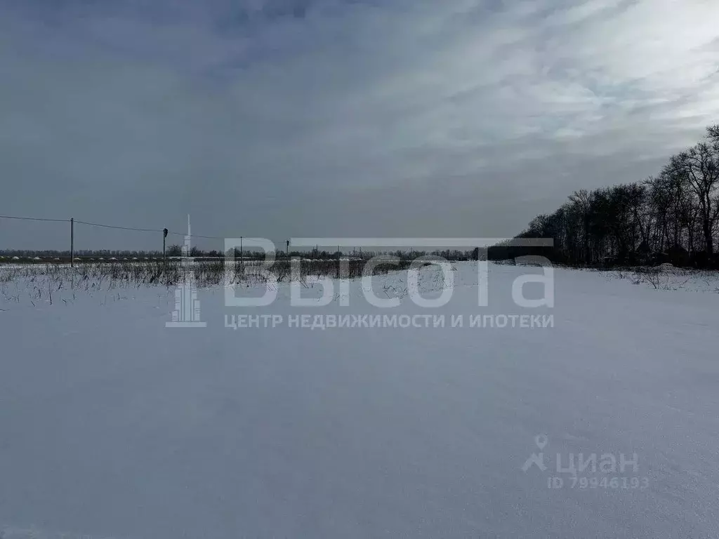 Участок в Воронежская область, с. Новая Усмань, Соловьиный мкр  (10.0 ... - Фото 1